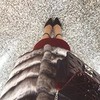 фотография Ferida Aliyeva фотография Ferida Aliyeva