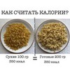 реклама на блоге Алиса Luchshe_chem_vchera реклама на блоге Алиса Luchshe_chem_vchera