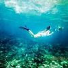 лучшие фото Леся Reivelin лучшие фото Леся Reivelin