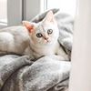 реклама в блоге Вера Чурина реклама в блоге Вера Чурина