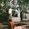 фотография Анна Звижинская фотография Анна Звижинская