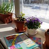 фото Елена Карим-Зода фото Елена Карим-Зода