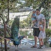 новое фото Андрей Мазульницын новое фото Андрей Мазульницын