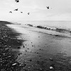 новое фото Кирилл Черкасов новое фото Кирилл Черкасов