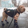 новое фото Лариса Вершинова новое фото Лариса Вершинова