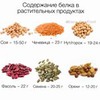 новое фото Елена Goodfood новое фото Елена Goodfood