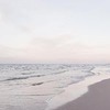 фотография Алекса Паук фотография Алекса Паук