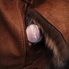 фотография Валерия Крюкова фотография Валерия Крюкова