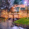 фото Эльвира Ларейна фото Эльвира Ларейна