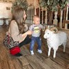 реклама на блоге Марина Вдовина реклама на блоге Марина Вдовина