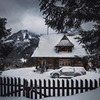 реклама в блоге Виталий Климов реклама в блоге Виталий Климов