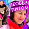 фото на странице chihuasophieanny_magik фото на странице chihuasophieanny_magik