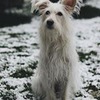реклама в блоге CAMvsMAN реклама в блоге CAMvsMAN