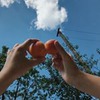 фотография Юлия Никольская фотография Юлия Никольская