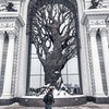 реклама на блоге Федор Стрелков реклама на блоге Федор Стрелков