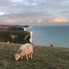 лучшие фото Юлия Аброскина лучшие фото Юлия Аброскина