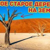 фотография sergeydolya фотография sergeydolya