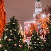 фото на странице Владислав Миленный фото на странице Владислав Миленный