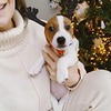 реклама на блоге Елена Кошкина реклама на блоге Елена Кошкина