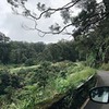 разместить рекламу в блоге Катя Романова разместить рекламу в блоге Катя Романова