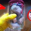 фотография vadimdab фотография vadimdab