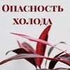 новое фото Елена Орлова новое фото Елена Орлова