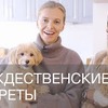 лучшие фото Ирина Голомаздина лучшие фото Ирина Голомаздина