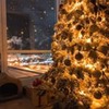 фото на странице Дмитрий Алфутов фото на странице Дмитрий Алфутов