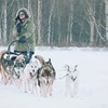 фото на странице Дмитрий Ларин фото на странице Дмитрий Ларин