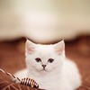 реклама на блоге Настя Фед реклама на блоге Настя Фед