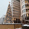лучшие фото Катюша Тян лучшие фото Катюша Тян