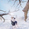 заказать рекламу у блоггера Ольга Мелекесцева заказать рекламу у блоггера Ольга Мелекесцева