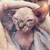 фотография Ольга Иванело фотография Ольга Иванело