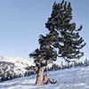 реклама на блоге Арина Никифорова реклама на блоге Арина Никифорова