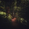 разместить рекламу в блоге Юрий Форрат разместить рекламу в блоге Юрий Форрат