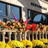 разместить рекламу в блоге Рима Одисеевна разместить рекламу в блоге Рима Одисеевна