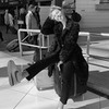 реклама на блоге Анастасия Рыстова реклама на блоге Анастасия Рыстова