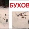фотография Макс Максимов фотография Макс Максимов