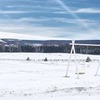 фото на странице Наталия Кео фото на странице Наталия Кео