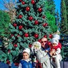 разместить рекламу в блоге Наталья разместить рекламу в блоге Наталья