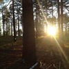 лучшие фото Борис и Татьяна Бровченко лучшие фото Борис и Татьяна Бровченко