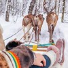 фото на странице Дарья Дулькевич фото на странице Дарья Дулькевич