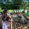 заказать рекламу у блоггера Маргарита Таран заказать рекламу у блоггера Маргарита Таран