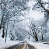 разместить рекламу в блоге Елена Кошкина разместить рекламу в блоге Елена Кошкина