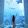 новое фото Ксю Гусик новое фото Ксю Гусик