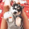 новое фото Крисс Башкирова новое фото Крисс Башкирова