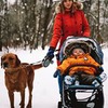 разместить рекламу в блоге Лилия Соловьева разместить рекламу в блоге Лилия Соловьева