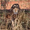 новое фото Сергей Доля новое фото Сергей Доля
