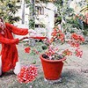лучшие фото Наталья Трейя лучшие фото Наталья Трейя