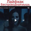 фотография Bammbato фотография Bammbato